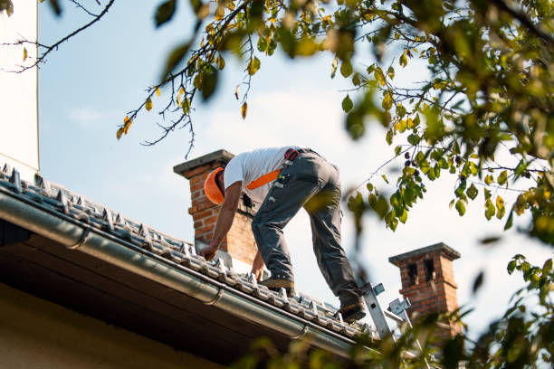 Best Chimney Flashing Repair  in Eaton, OH