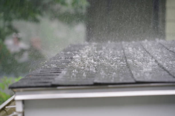 Best Skylight Installation and Repair  in Eaton, OH